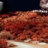 HOLLYWOOD SIGN NIGHT
PHOTO MONTAGE 

H18" X W24"

2015